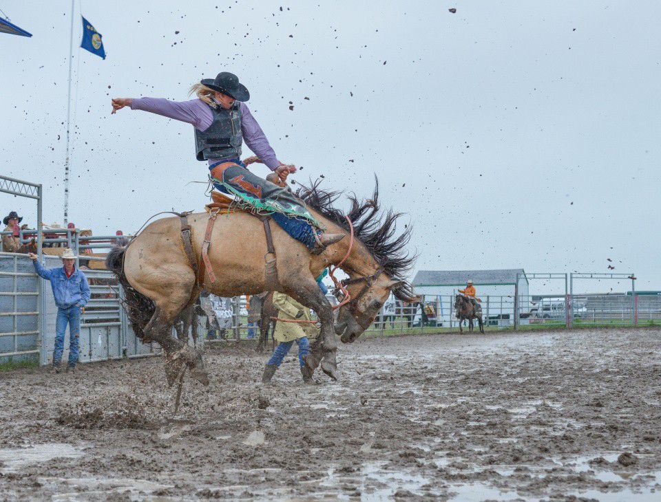 Bronc School-5.jpg